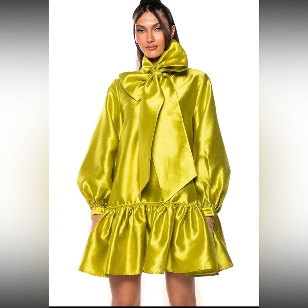 Akira bow dress